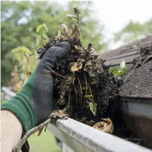 Gutter cleaning in Donegal: a gloved hand lifting packed leaves and moss out of a blocked gutter