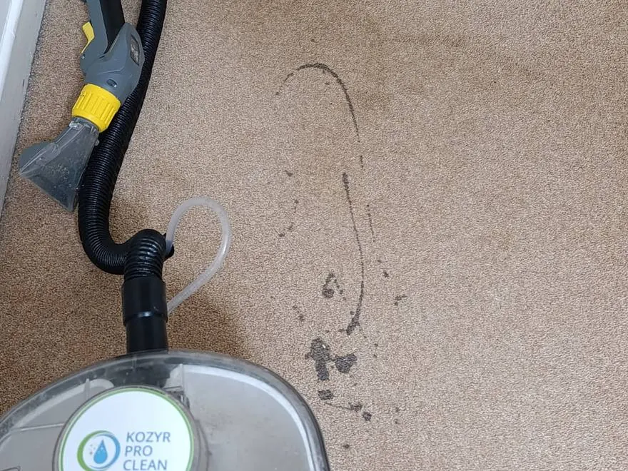 Extraction head on a carpet