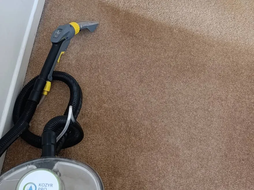 Carpet after a stain was extracted