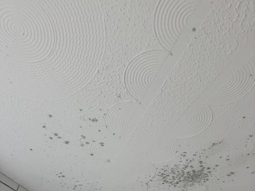 Ceiling with mould spots