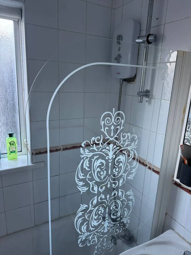 Shower screen after descaling