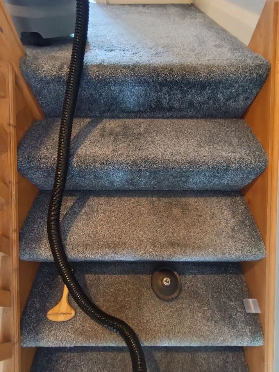 Stairs carpet in Letterkenny being cleaned with hot-water extraction, half done